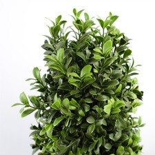 120cm Sprial Buxus Artificial