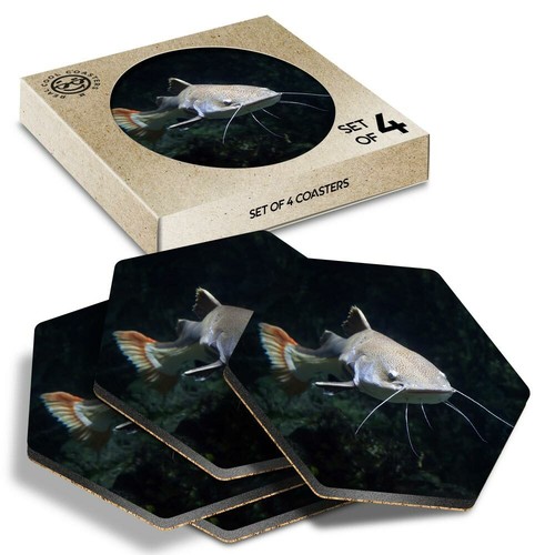 Hexagon coasters redtail - x,