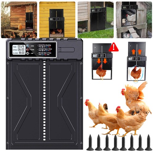 Automatic chicken coop - automatic,