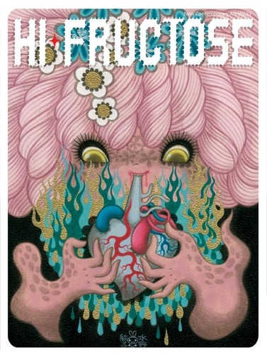 Fructose magazine junko - hi,