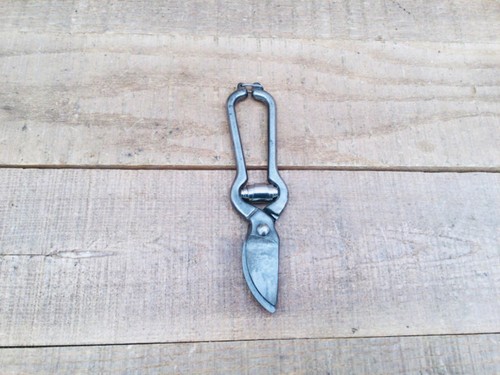 Vintage small parrot beak - vintage,
