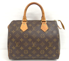 LOUIS VUITTON Boston Hand Bag