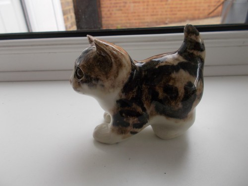 Winstanley tabby kitten size - winstanley,