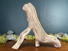 17" Manzanita Driftwood