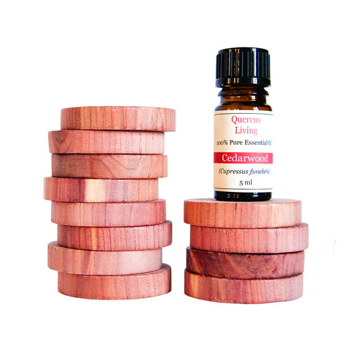 Cedar wood rings - rings, 24