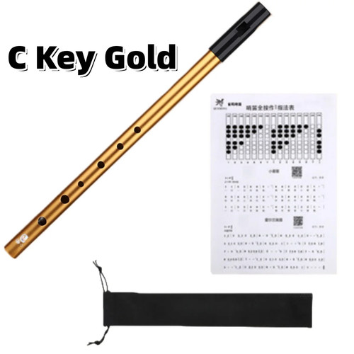 Irish tin whistle - irish, c
