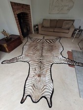 Taxidermy Burchells Zebra Black White XL skin hide rug Interior Design Statement