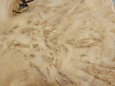 Timber Scottish Burr Elm Blank