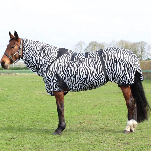 Horse stormx original - horse,