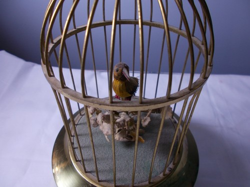 Antique german bird cage - bird, music