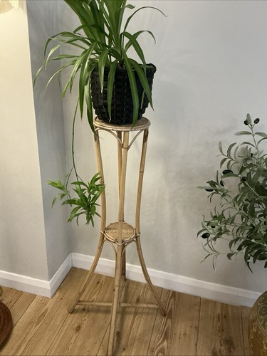Vintage bamboo rattan plant - ,