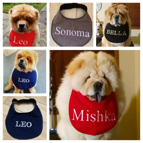 Chow slobber drool - drool, bib