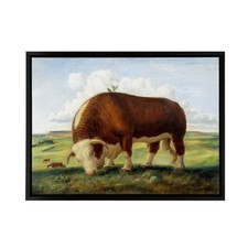 John S Curry Ajax Hereford Bull and Birds Framed Canvas Wall Art Print