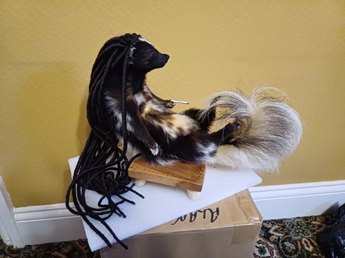 Taxidermy erling haaland - erling,