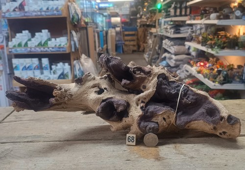 Large 54cm mopani - 27-54cm,