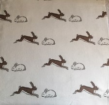 Emily Bond Rabbits and Hares