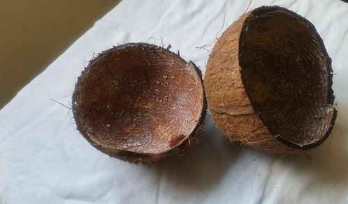Raw natural coconut shell - 4,