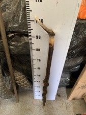 King Charles Hand Crafted Deer