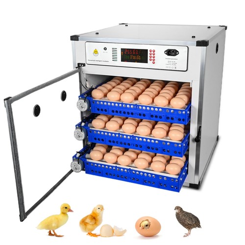 Automatic digital 204 - digital, eggs