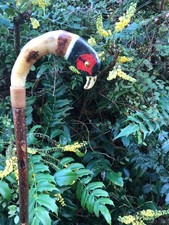 rams horn pheasant shepherds crook