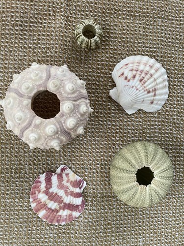 Mixed sized sea - 3x,
