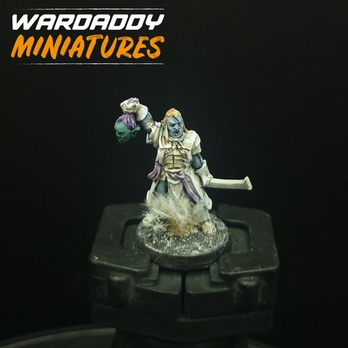 Well painted warhammer lotr - well,