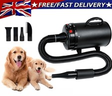 Professional Pet Dog Hair