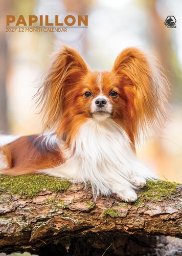 Papillon calendar 2027 cc - -,