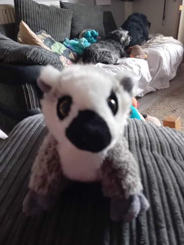 Nature planet ring tailed - planet,