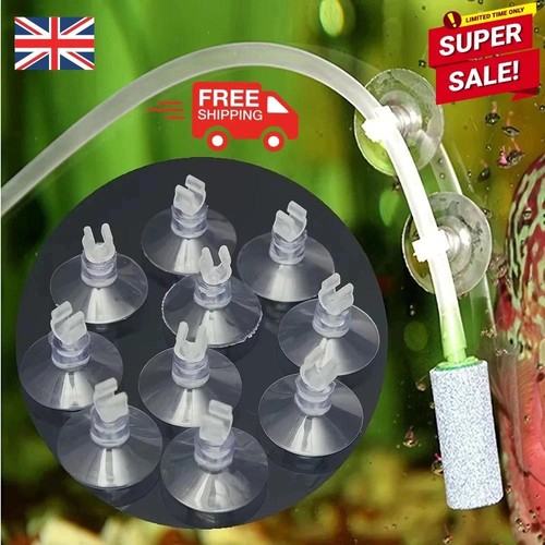 10x aquarium fish tank - fish,