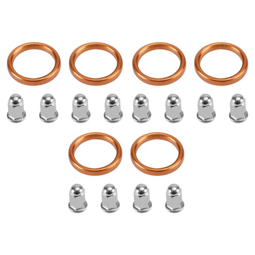 Exhaust gaskets nut - gaskets, for