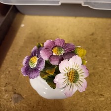 Vtg Staffordshire Radnor Bone