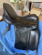 Kieffer Lusitano Dressage