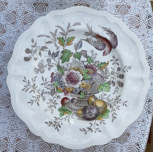 Hampshire dinner plate - hampshire,