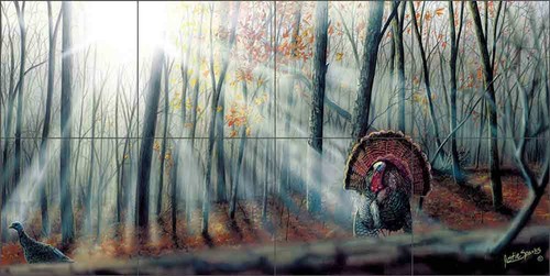 Turkey tile backsplash - turkey,