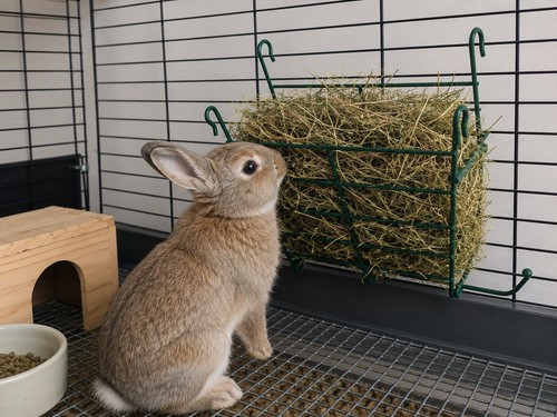 New hay manger - /, feeder
