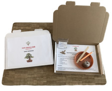 Grow Your Own Bonsai Starter