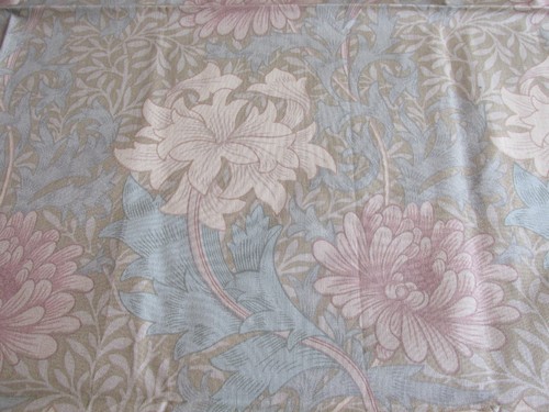 William morris chrysanthemum - morris,
