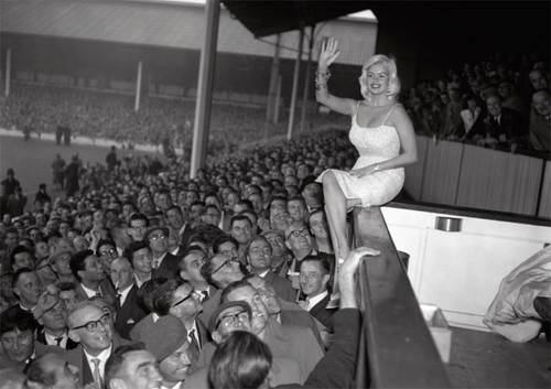 Jayne mansfield white hart - jayne,
