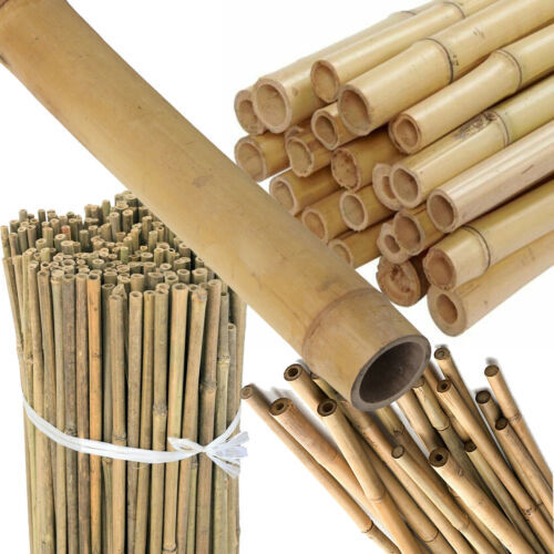 2ft 3ft 4ft 5ft - 3ft, bamboo