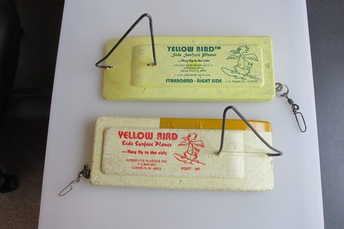 Set two yellow bird side - yellow,