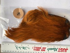 Fly tying cock cape top