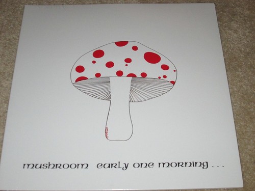 Mushroom early one morning - morning,