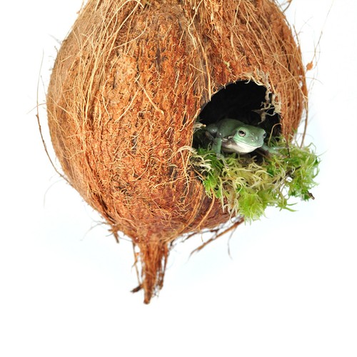 Habistat arboreal hanging - habistat,