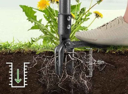 Heavy duty prong weed puller - 4-prong,