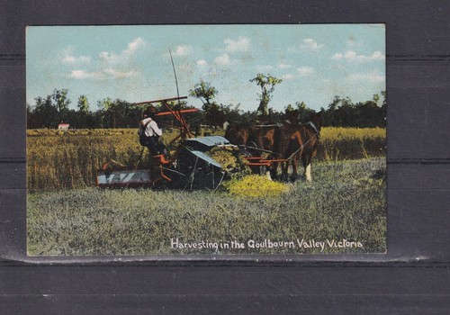 Victoria goulburn valley - goulburn,