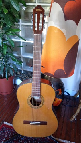 Washburn c40 classical series - washburn,