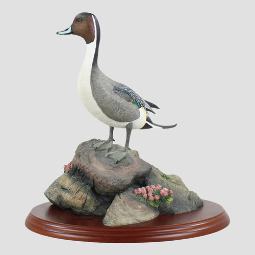 Pintail border fine - border, birds