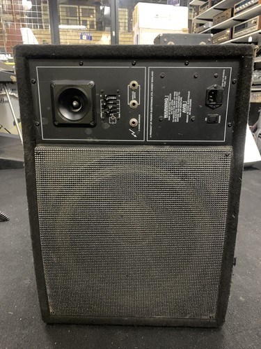 Peavey pro active floor - 15-pm,