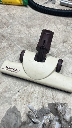 Sebo felix cream and brown